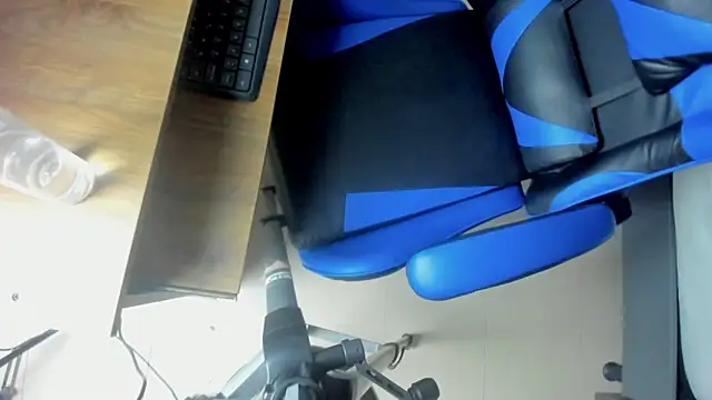 Czat XXX na żywo – bella_bread