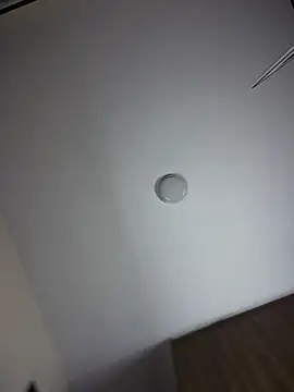 ScarletMuseX Live XXX-chat