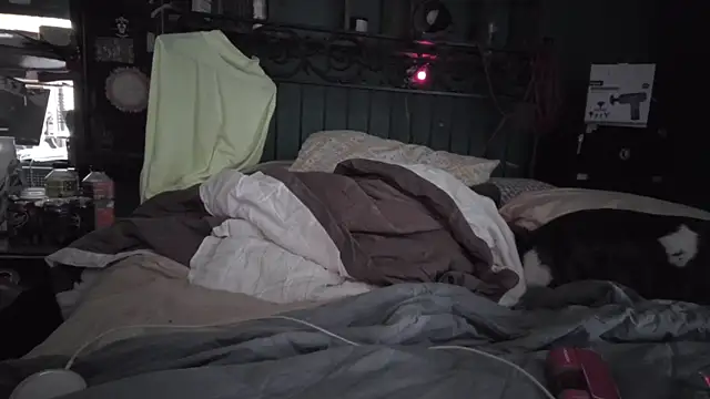 charactrzero: онлайн-секс-чат