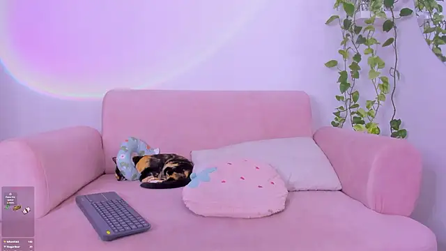 Catbaby888_ élő XXX-chatje