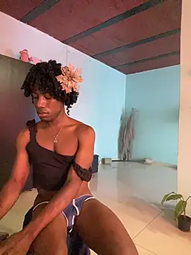 Show de AnelimDagota na webcam