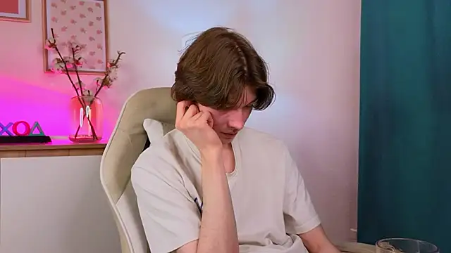 _Den1s_ 网络视讯表演