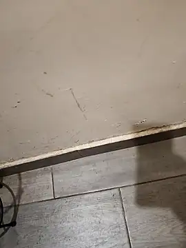 kkachondo webkamerás műsora