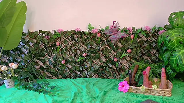 Chat +18 de MyApril__ ao vivo