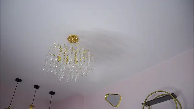 แชท XXX สดของ SunnivaCovil