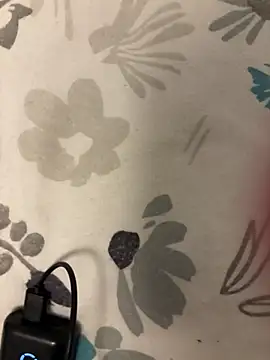 Nicfickn Webbikameraesitys