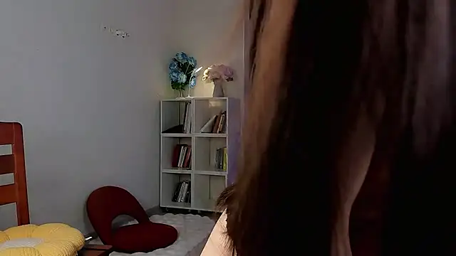 Show webcam de dumpling