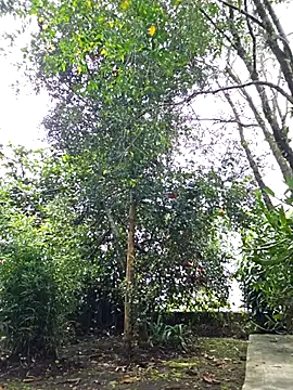 Yuky_ta Chat XXX in diretta