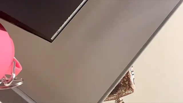 Show webcam de LourieRinghouse