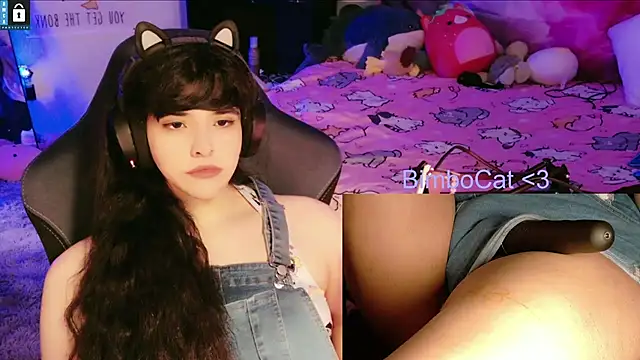 BimboCat Show Webcam