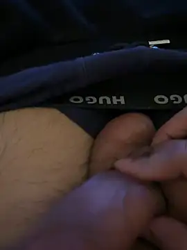 Simplemind2 Show Webcam