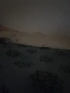 عرض كام Yasgo1