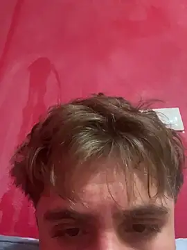 Incolinco07n Webbikameraesitys