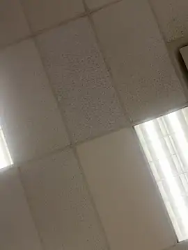 lolabunny9's Webcam Show