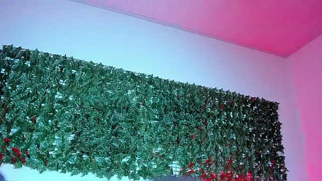 دردشة BellaRoux1 الجنسية المباشرة