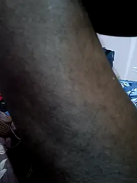 Show Webcam de desicpl26