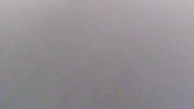 sissytrapdolly24: απευθείας συνομιλία ΧΧΧ