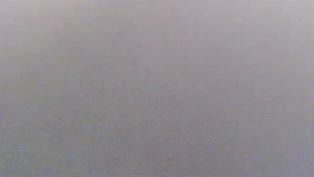 sissytrapdolly24 Adlı Modelin Canlı XXX Sohbeti