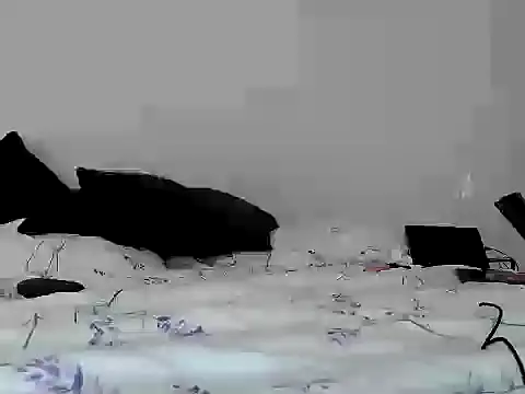 Iscariot19 即時 XXX 聊天