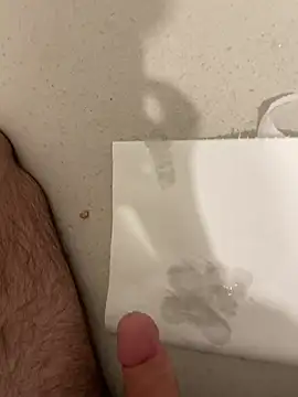 Lcreten Webbikameraesitys