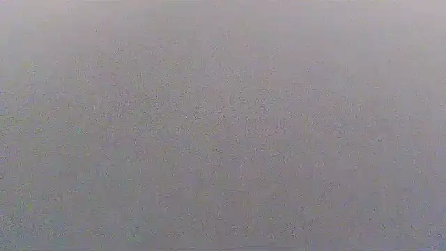 sissytrapdolly24 现场XXX聊天