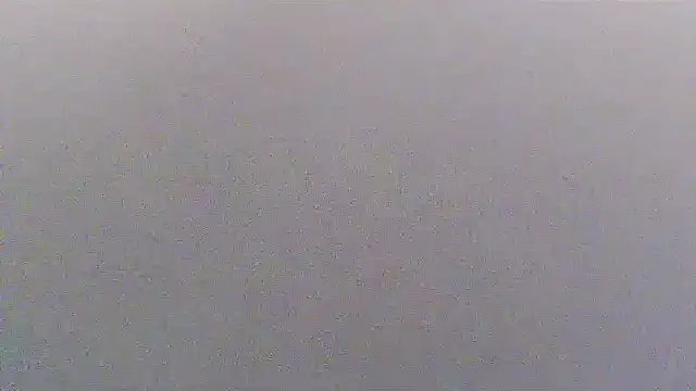 sissytrapdolly24 – Kamerová šou