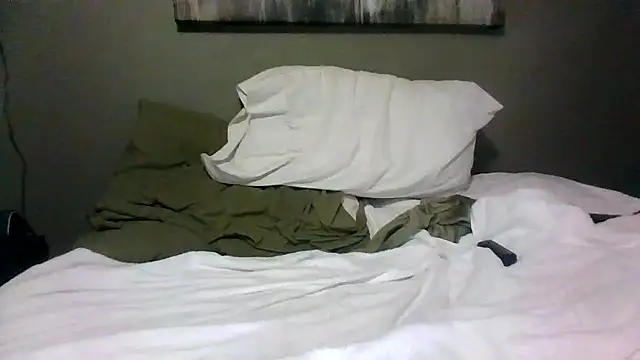 Show webcam de HarvryBlaze