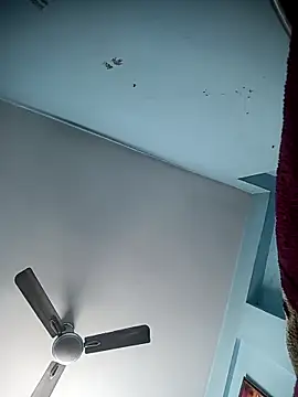 cutezara4 Show in webcam