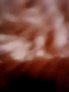 Chat +18 de You-sexy-starr ao vivo