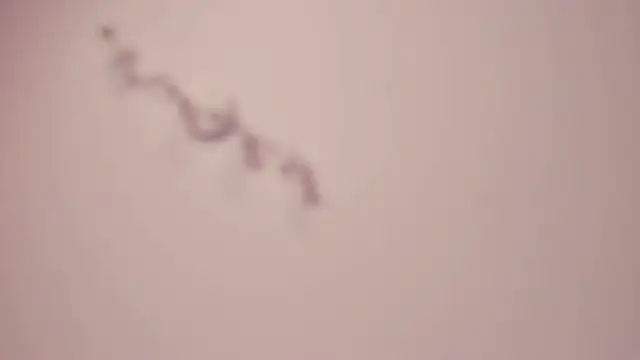 aIexsunshine Chat XXX in diretta