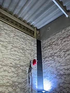 AlisSon__hot Obrolan Langsung XXX