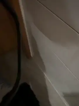 LattenLarsi 웹캠 쇼