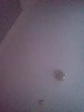 freakylittlebitch69 Webcam show