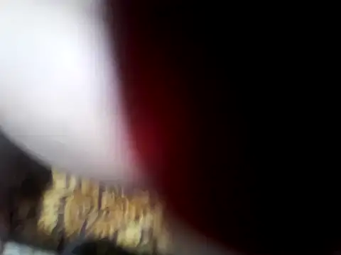 star_assのライブXXXチャット