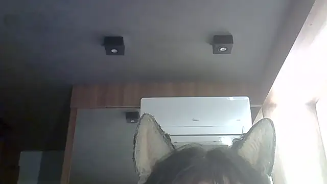 Show de webcam de SkinnyKitten