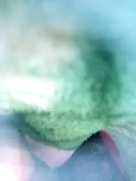 Jonybiswas295: онлайн-секс-чат