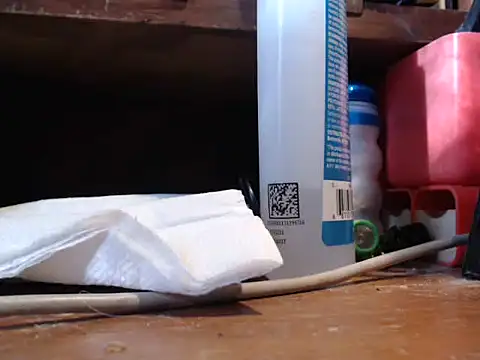 tgirljillforbbc Show Webcam