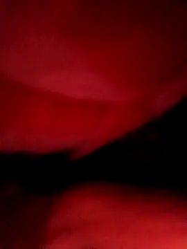 Show Webcam de Jonybiswas295