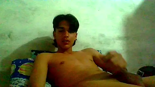 teoo_11n Webbikameraesitys