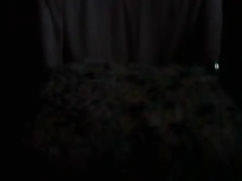 R0mpopvt4z Webcamshow