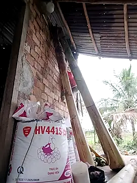 BigBoobs186's Live XXX Chat