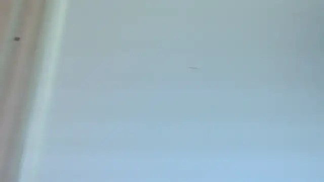 thomas_gun Adlı Modelin Canlı XXX Sohbeti