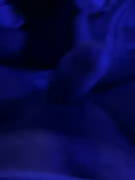 darknebula80 网络视讯表演