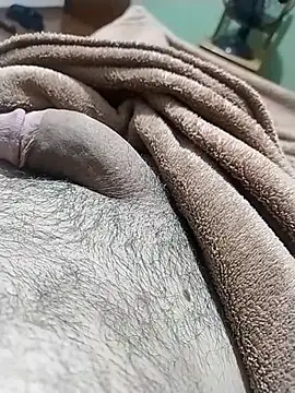 Show de SAFADINHO-25 na webcam