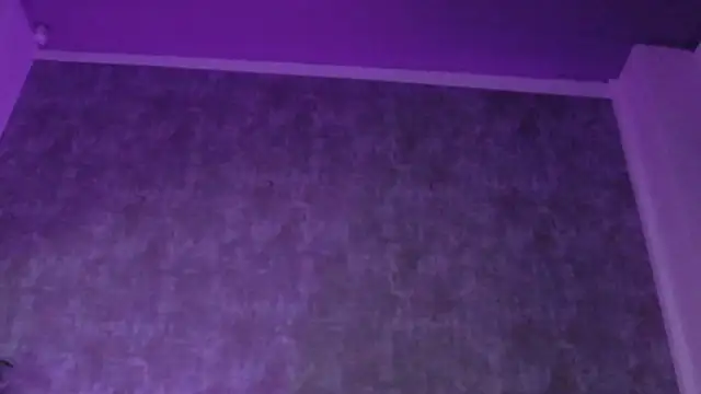 Chat XXX Live AmisRayy