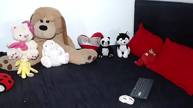 Webkamerová show crss_2020