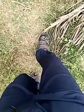 Show modela dolphiinn na web-kameri