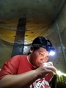 kussecka – Live XXX-chat