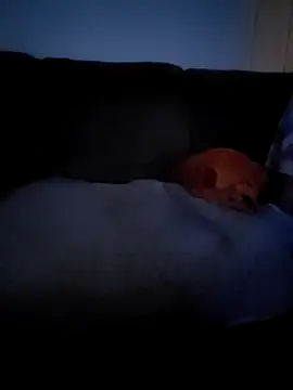 Živý XXX chat TooGoodConway23