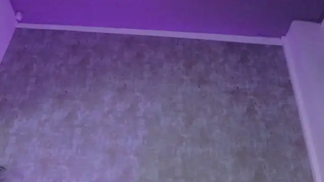 AmisRayy 라이브 XXX 채팅